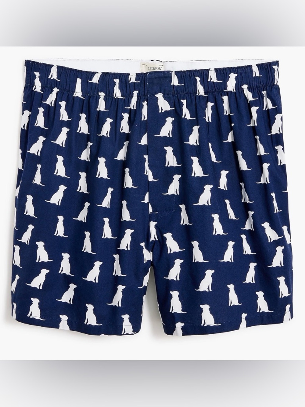 J.CREW Woven Boxer Shorts in Labs Print
